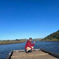 Princetown Wetlands Boardwalk