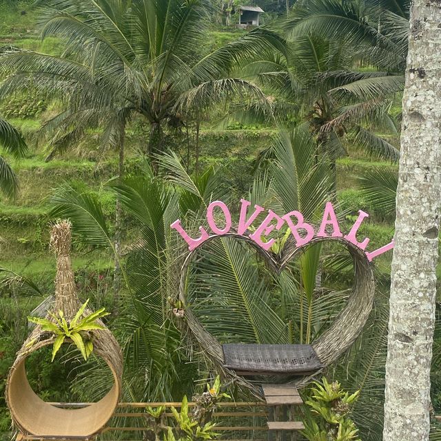 A corner of Paradise , Bali Island 