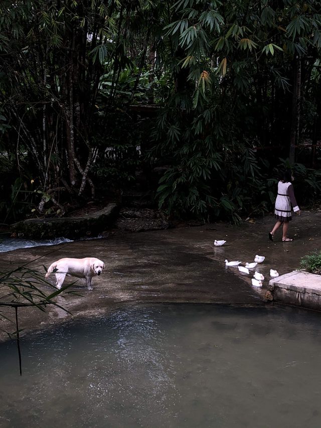 บ้านในหมงที่พักกลางธรรมชาติที่ระนอง