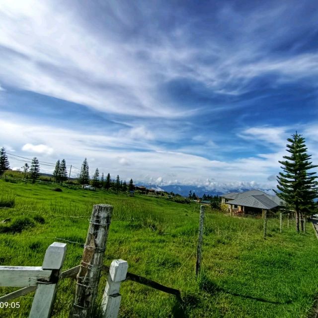 Great moment in nature view