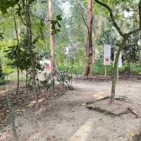 Natural Park in the Northeast of SG 