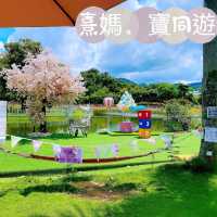 熹媽熹寶推介❤️ 打卡打到手軟-位於大埔ge 蝶豆花園有機農莊🤩