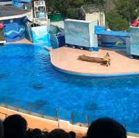 Ocean Park. 