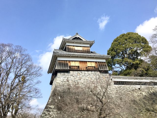 【熊本】水前寺公園で枝垂れ桜を鑑賞