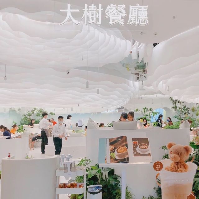 長在雲朵里的大樹｜大樹餐廳