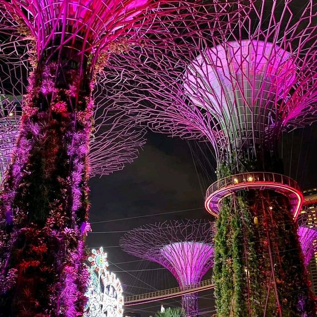 Garden by the Bay - Christmas Wonderland