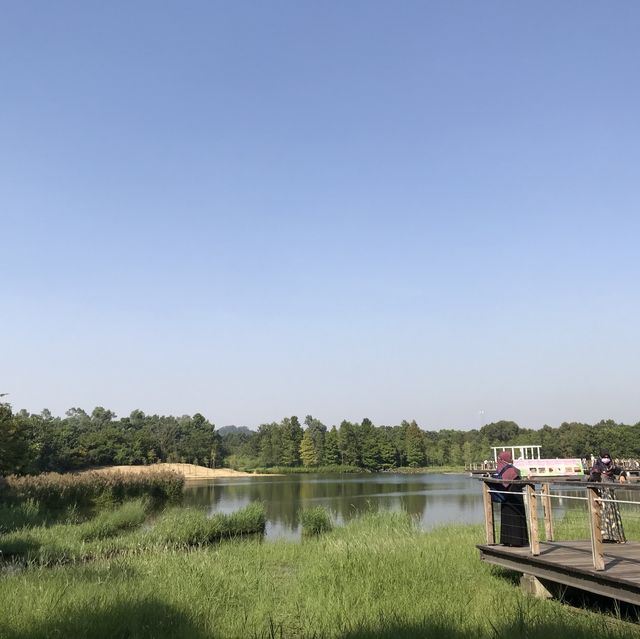 香港濕地公園