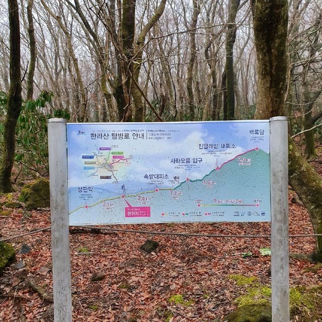 겨울 등산코스 추천 '한라산'