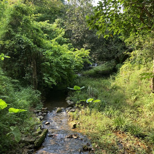 梅窩一星簡易行山路線回東涌 