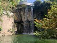 城市內小型森林 ~ 香港公園