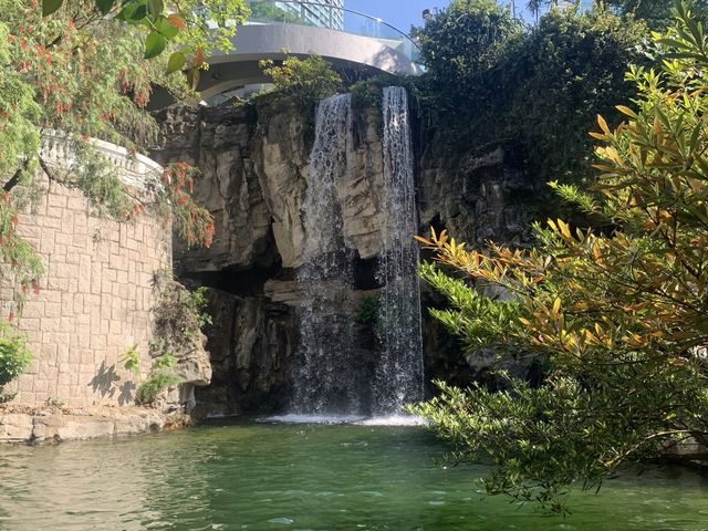 城市內小型森林 ~ 香港公園