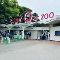 【神戸】神戸の動物園といえばここ❣️神戸市立王子動物園🐼