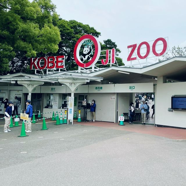 【神戸】神戸の動物園といえばここ❣️神戸市立王子動物園🐼