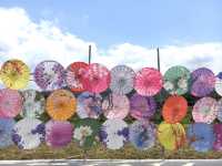 信芯園日式打卡位