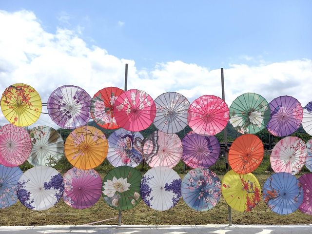信芯園日式打卡位