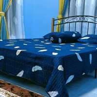HOMESTAY PAK TEH