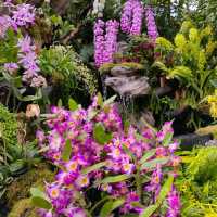 Singapore Garden Festival 2022 @NgeeAnnCity