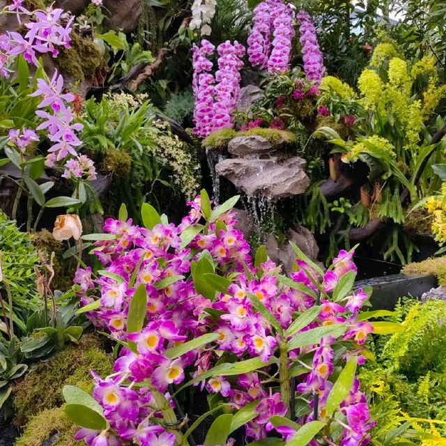 Singapore Garden Festival 2022 @NgeeAnnCity