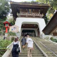 江ノ島 カラフルエビ たこせんべい