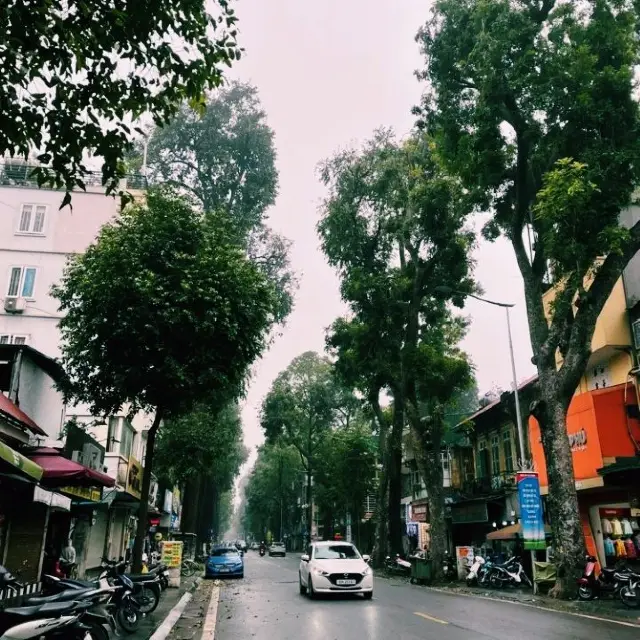 Phở Thìn Lò Đúc