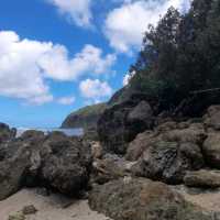 BALER, AURORA