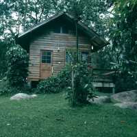 บ้านธารกล่อม นอนฟังเสียงน้ำไหลในอ้อมกอดธรรมชาติ 🌲
