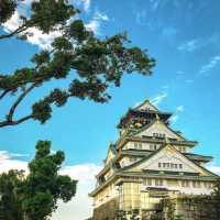 Calming Osaka Castle