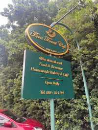 FERN FOREST CAFE