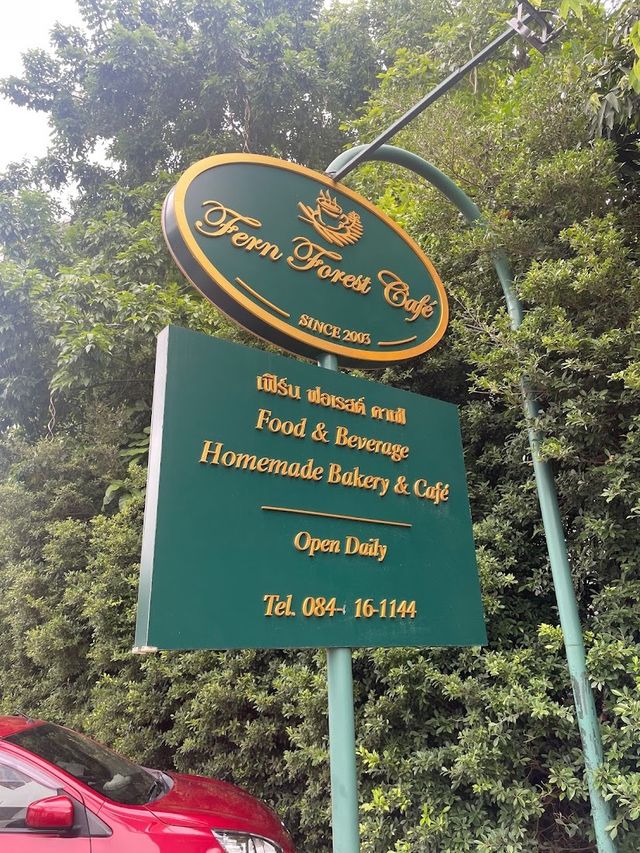 FERN FOREST CAFE