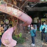 意猶未盡【台中北屯】紙箱王創意園區