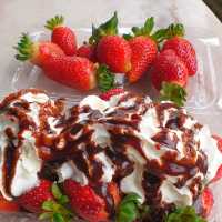 Cameron Highland Strawberry Farm