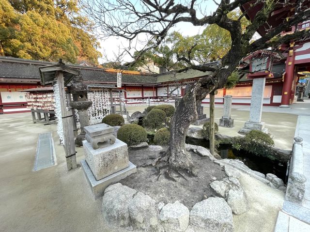 【福岡】学問の神様！太宰府天満宮！