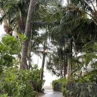 Early Morning walks on Waikiki Beach