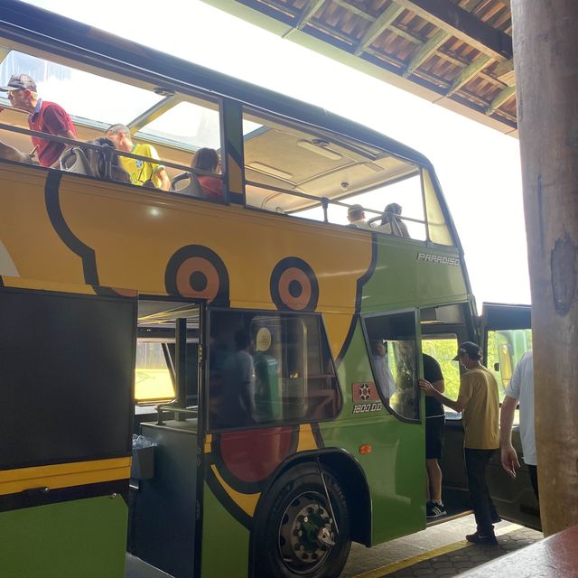 브라질 이과수