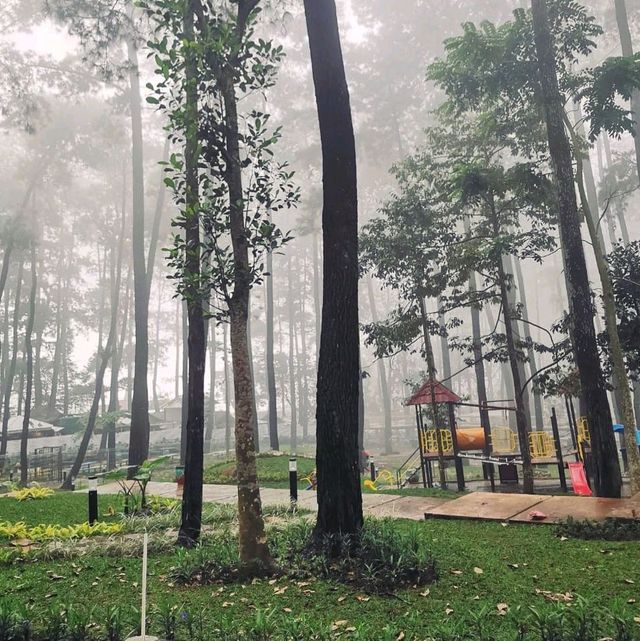 Tanaria Park