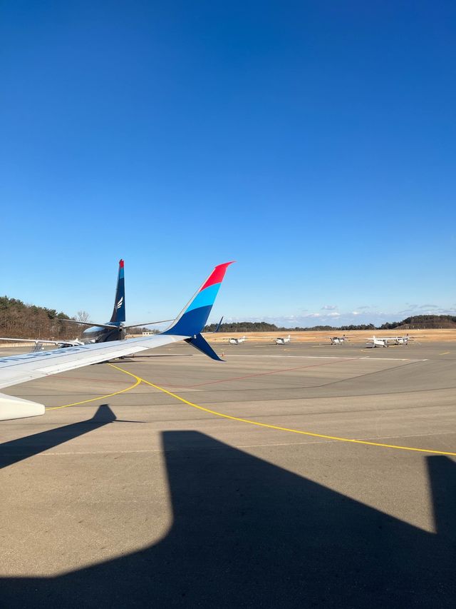 양양에서도 일본까지 갈 수 있다고?!🇰🇷✈️🇯🇵