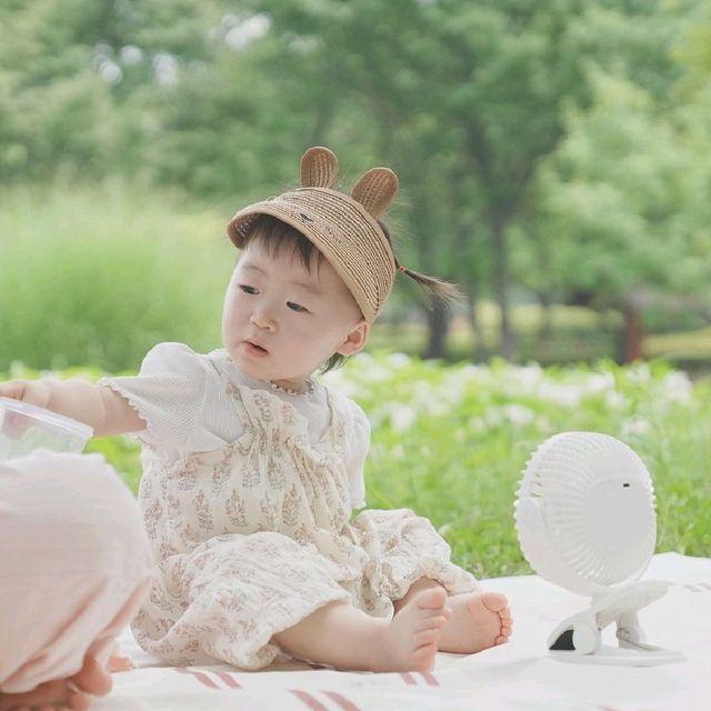 안산 가볼만한곳 * 피크닉하기 좋은 화랑유원지