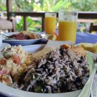 Tirimbina hikes and lodge
