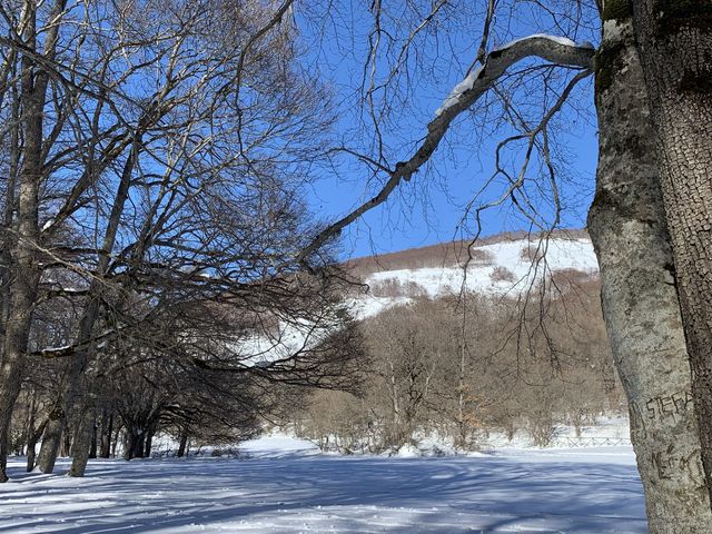 Good Food and Snow in Pescocostanzo 🇮🇹 