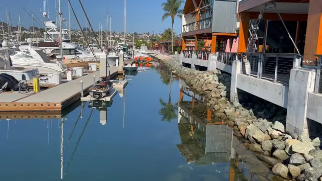 Morning Stroll in beautiful Sun Harbor Marina