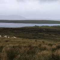 The Shieling Barvas and Brue