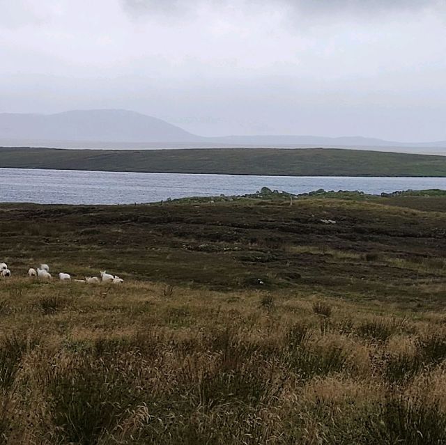 The Shieling Barvas and Brue
