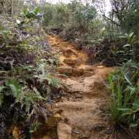 Hong Kong hiking dream