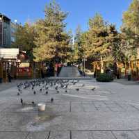秋のクルッカレへの旅 Huseyin Kahya公園
