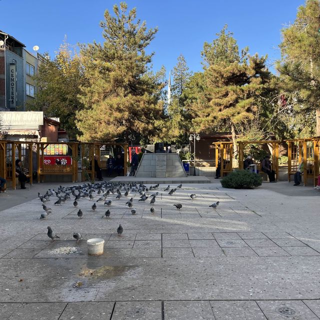 秋のクルッカレへの旅 Huseyin Kahya公園