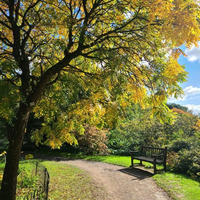 Beautiful Bath Park