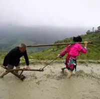 Longji Rice Terraces 