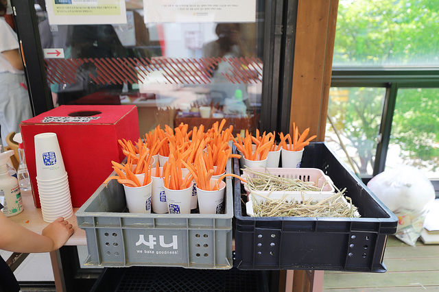 양평 미리내승마클럽 말과 친해질수 있어요
