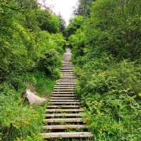 Enjoy nature at Gansu's Lianhuashan mountain 