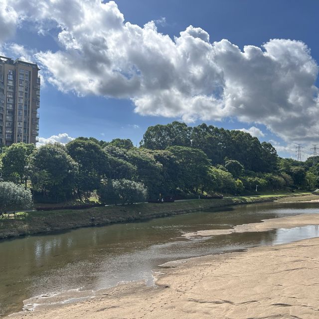 打卡深圳觀瀾濕地公園